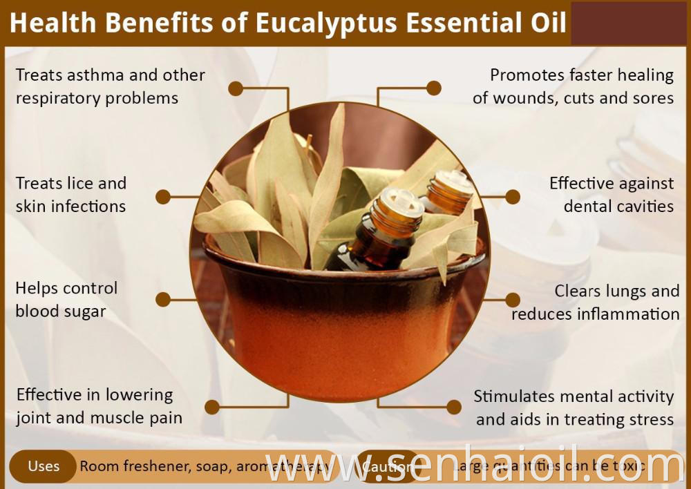 Factory wholesale Fragrance & Flavour oil cineole 80% natural organic eucalyptus oil
